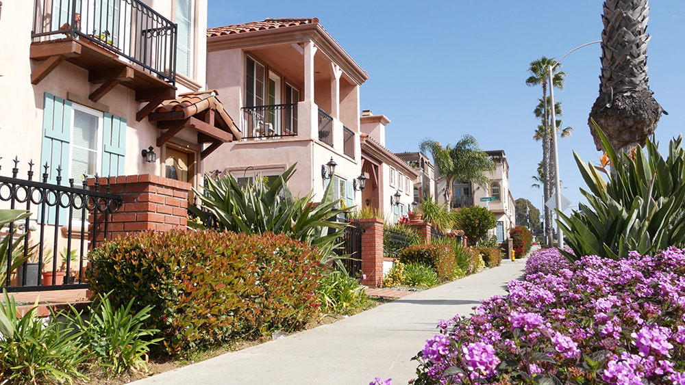 Osprey Property Management
